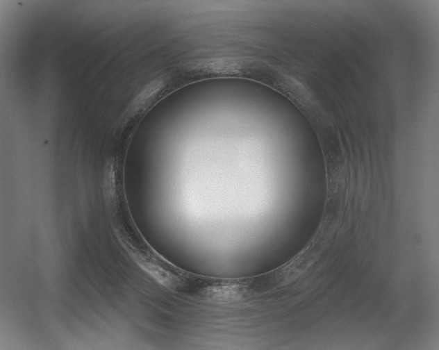 X0000056360120200508291354