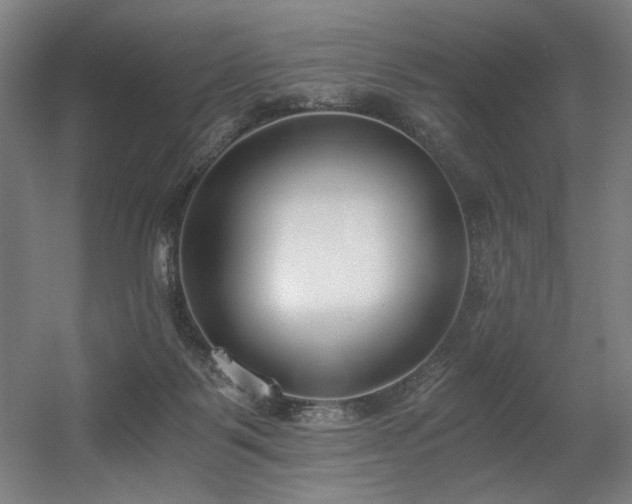 X0000056360123200508291354