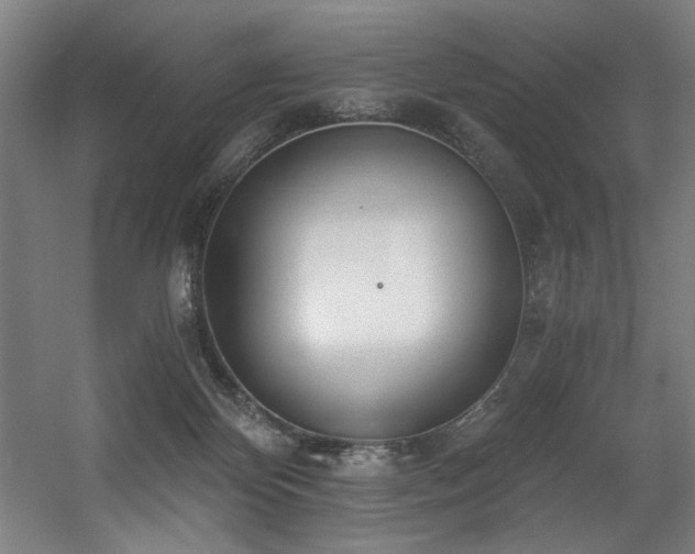 X0000056360124200508291354