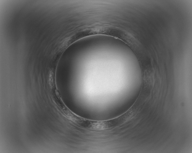 X0000056360127200508291354