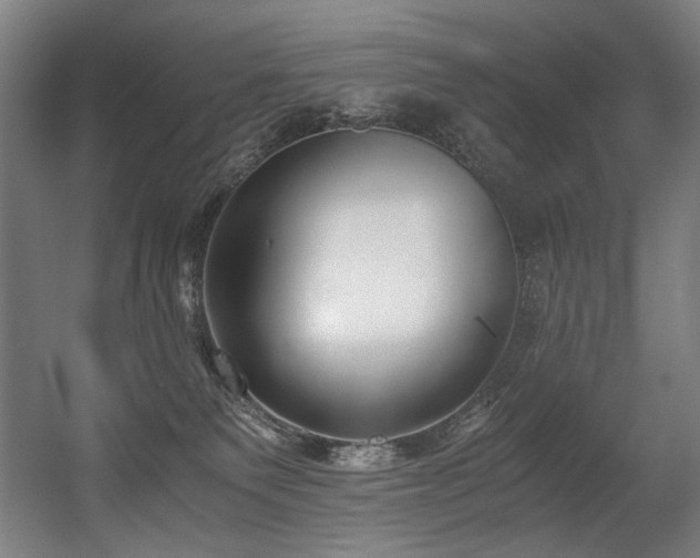 X0000056360135200508291354