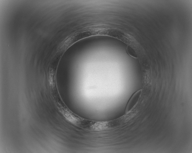 X0000056360138200508291354