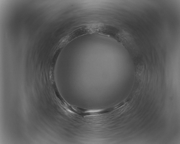 X0000056360139200508291354