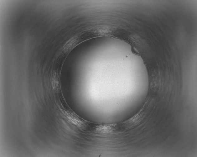 X0000056360140200508291354