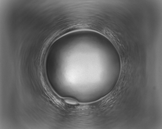 X0000056360145200508291353