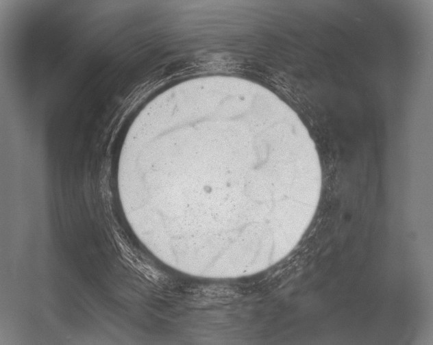 X0000056360146200508291353