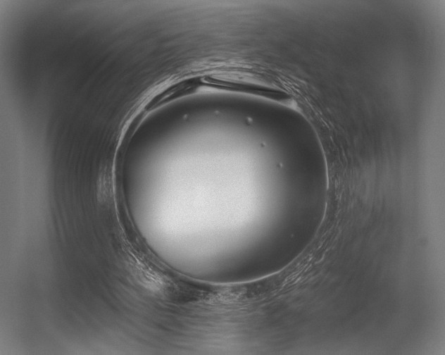 X0000056360148200508291353