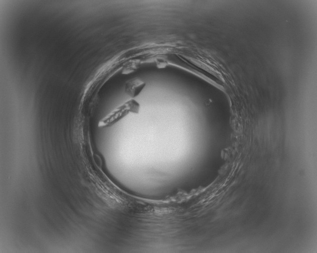 X0000056360149200508291353