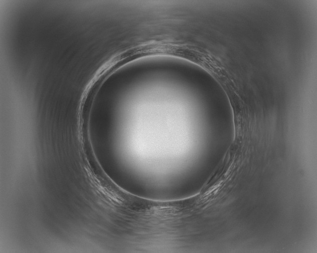 X0000056360150200508291353