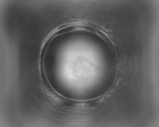 X0000056360152200508291353