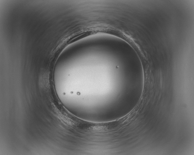 X0000056360154200508291353