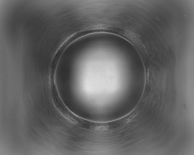 X0000056360156200508291353