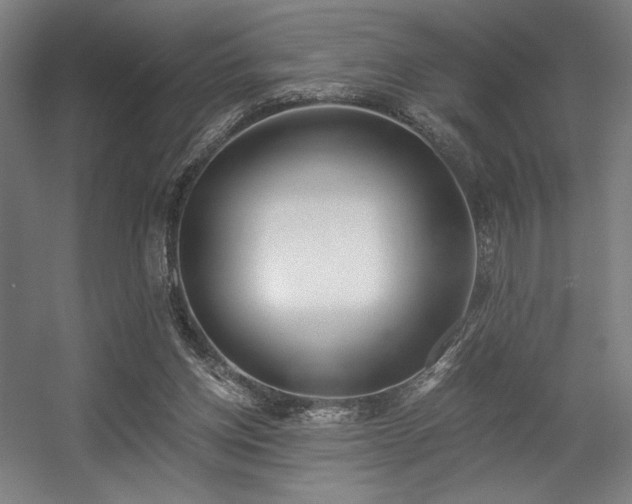 X0000056360158200508291353