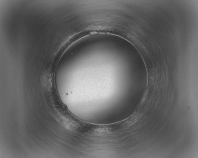 X0000056360160200508291353