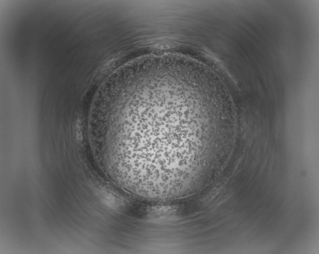 X0000056360161200508291353