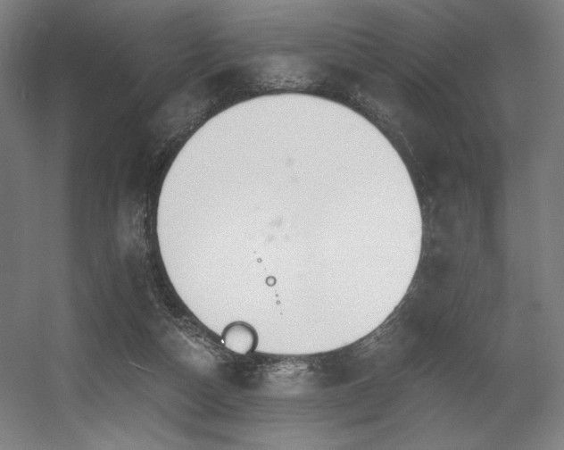 X0000056360162200508291353