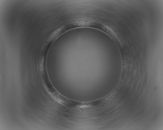 X0000056360163200508291353