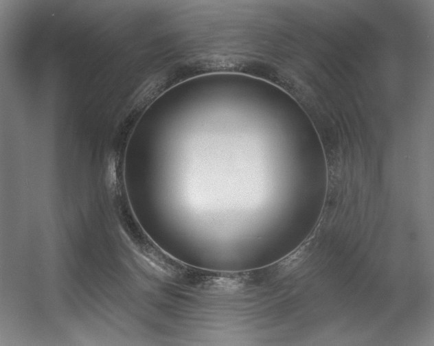 X0000056360166200508291353