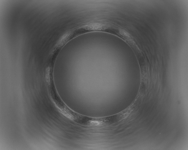 X0000056360167200508291353