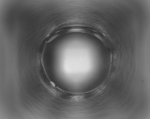 X0000056360168200508291353