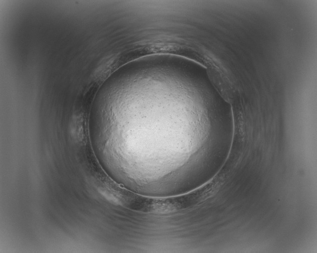 X0000056360169200508291354