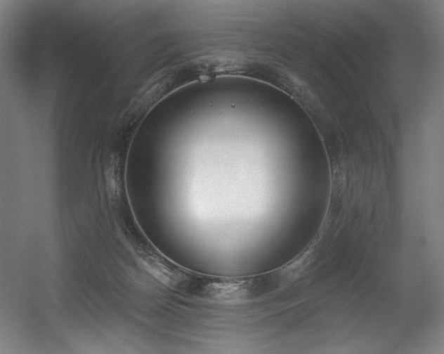 X0000056360170200508291354