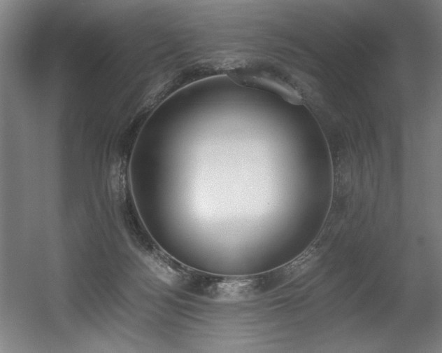 X0000056360172200508291354