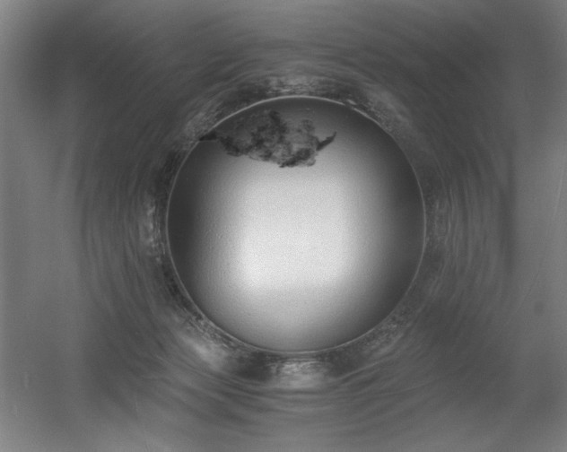 X0000056360173200508291354