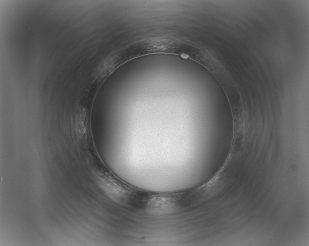 X0000056360174200508291354