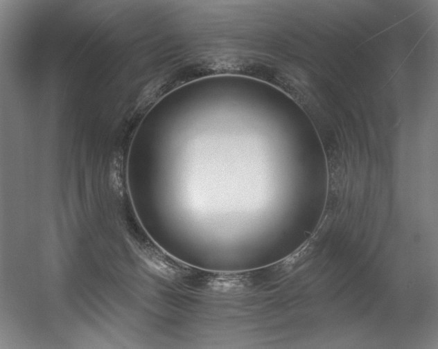 X0000056360175200508291354