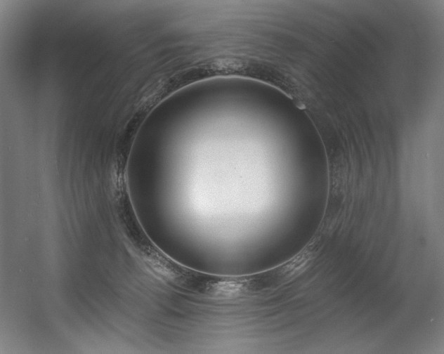 X0000056360176200508291354