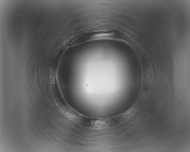 X0000056360180200508291354