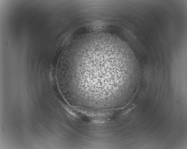 X0000056360181200508291354