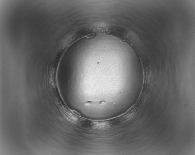 X0000056360185200508291354