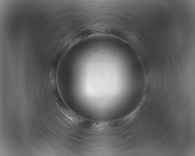 X0000056360186200508291354