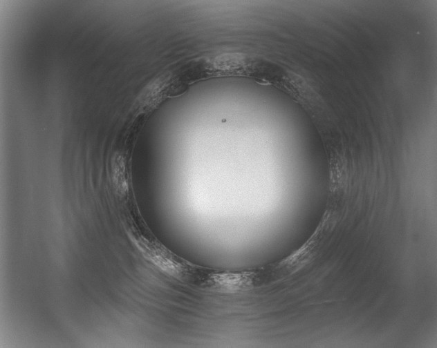 X0000056360187200508291354