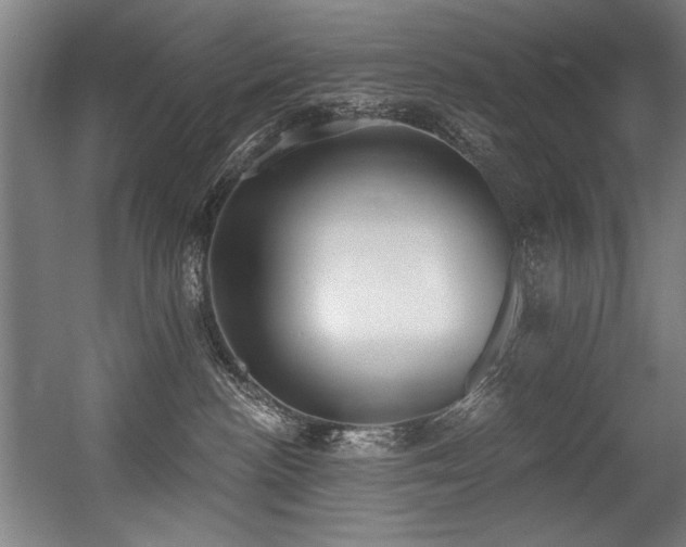 X0000056360188200508291354