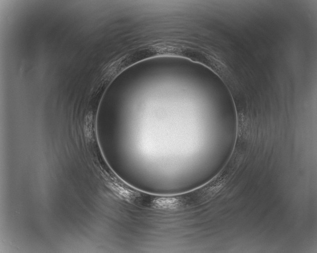 X0000056360189200508291354