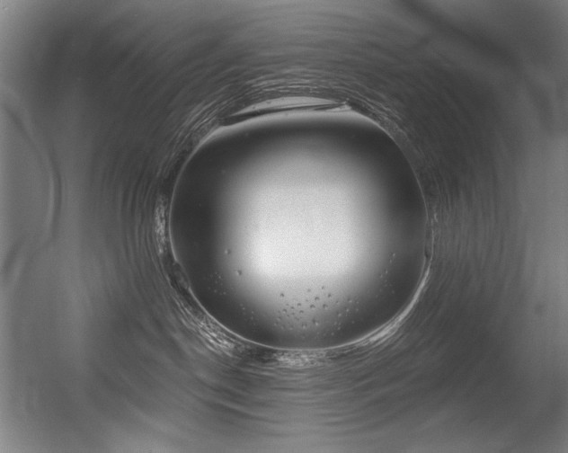 X0000056360190200508291354