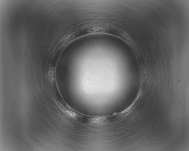 X0000056360191200508291354