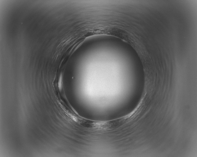 X0000056360192200508291354