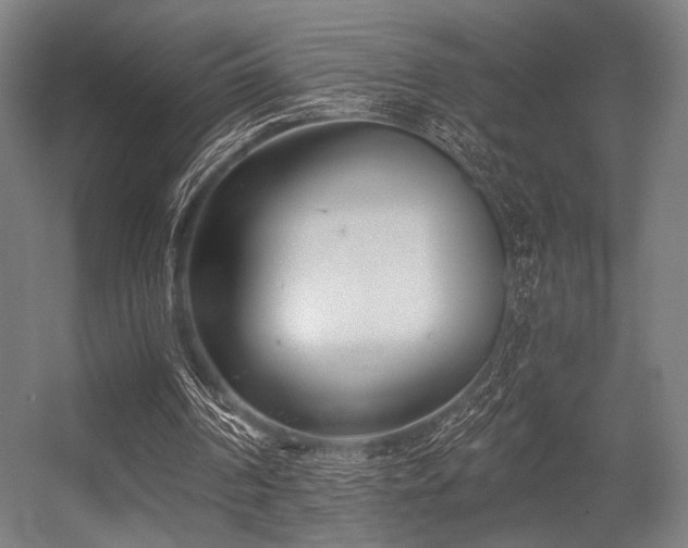 X0000056360194200508291353