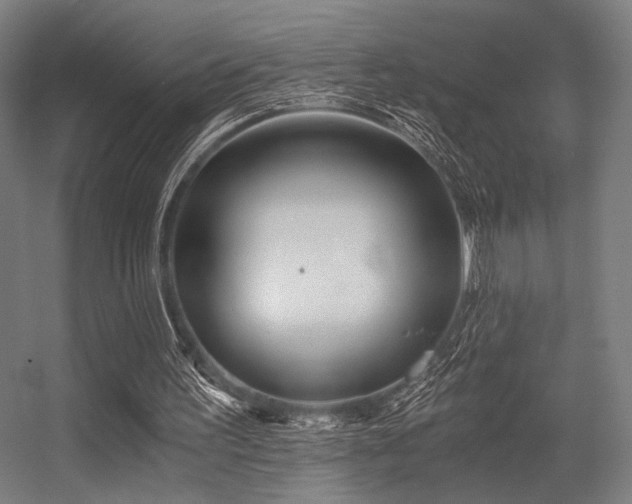 X0000056360195200508291353