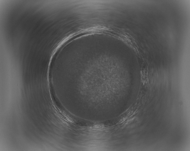 X0000056360196200508291353