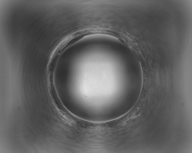 X0000056360197200508291353