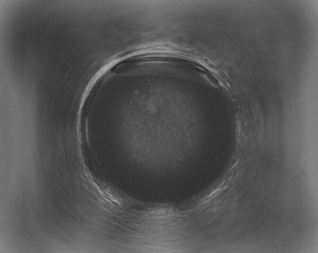 X0000056360200200508291353