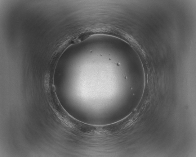 X0000056360201200508291353