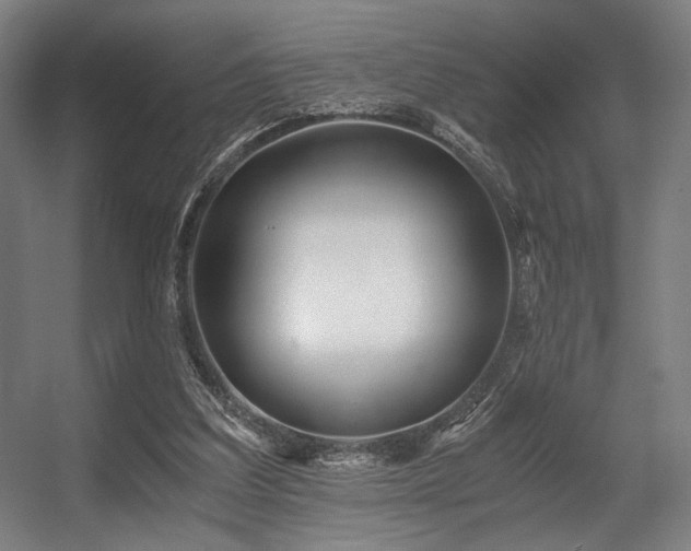 X0000056360203200508291353