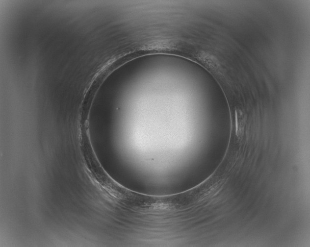 X0000056360204200508291353