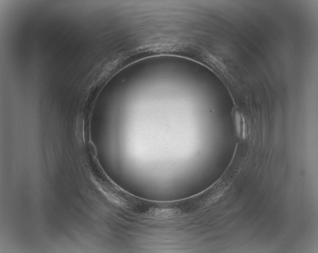 X0000056360205200508291353